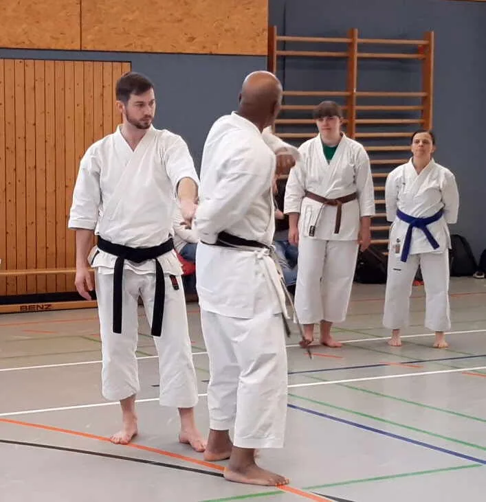 Karateka beim angeleiteten Bunkai-Partnertraining in einer Sporthalle